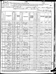 1880 census record, Rochester, Monroe County, New York, USA